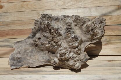 corbeille-fruits-5 corbeille-fruits-5