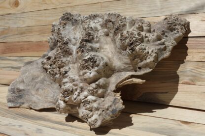 corbeille-fruits-6 corbeille-fruits-6