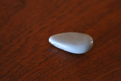 IMG_2606 IMG_2606