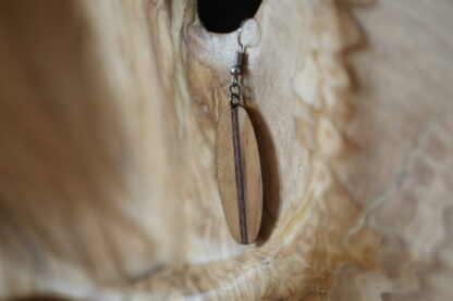 IMG_3168 IMG_3168