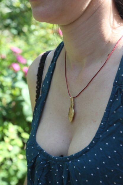 IMG_4542 IMG_4542