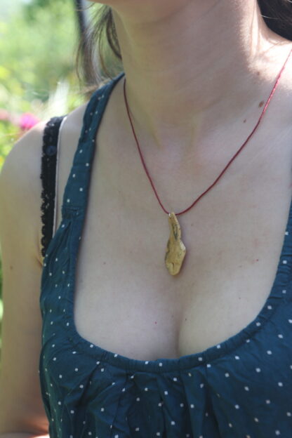 IMG_4543 IMG_4543