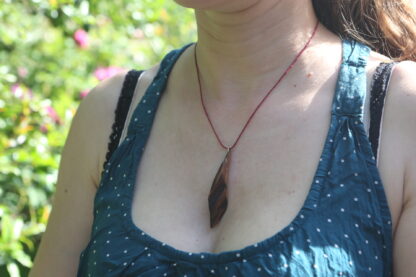 IMG_4558 IMG_4558