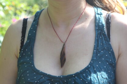 IMG_4559 IMG_4559