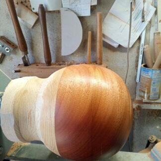 IMG_20250117_133059_499