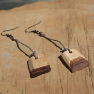 Boucle d'oreille "bicott"