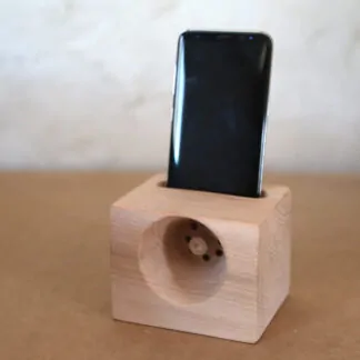 Amplificateur en Hêtre