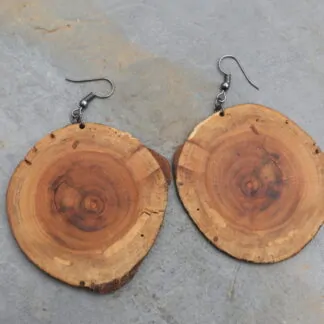 Boucle d'oreille "l'oeil fruitier"
