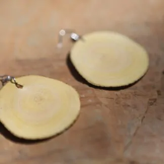 Boucle d'oreille "Citronnier"