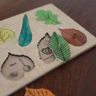 Les feuilles