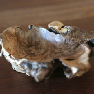 Plat apéritif châtaigner 20,5cm