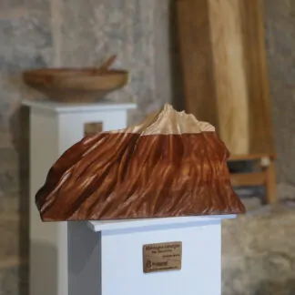 La montagne enneigée