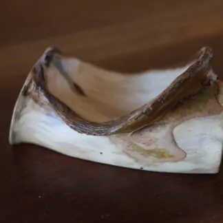 Plat apéritif Platane 21cm