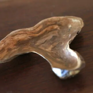 Plat apéritif châtaigner 19,5cm