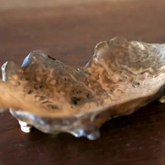 Plat apéritif châtaigner 18,5cm