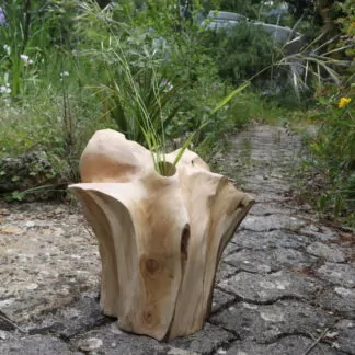 Vase en Cyprès