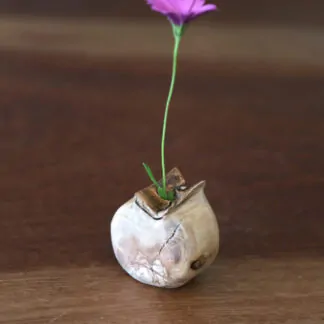 Soliflore en Olivier 6cm pour fleur séchée