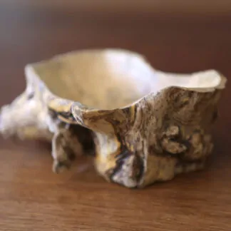 Plat apéritif Buis 14,5cm
