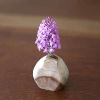 Soliflore en Cyprès 5,7cm pour fleur séchée
