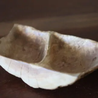 Plat apéritif olivier 25cm