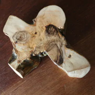 Dessous de plat en Olivier 18cm